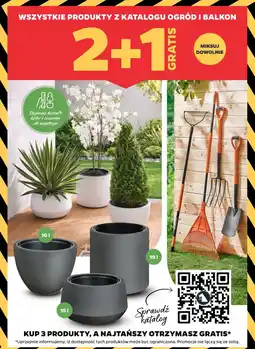 Netto wszystkie produkty z katalogu ogród i balkon oferta