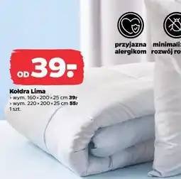 Netto Kołdra Lima oferta