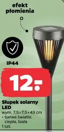 Netto Słupek solarny LED oferta