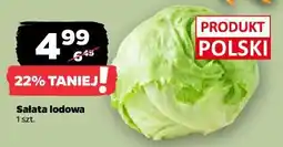 Netto Sałata lodowa 1 szt oferta
