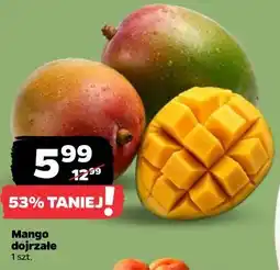 Netto Mango dojrzałe oferta