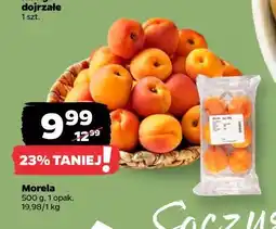 Netto Morela oferta