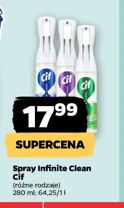 Netto Spray Infinite Clean Cif oferta