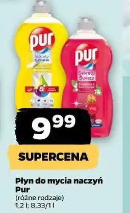 Netto Płyn do mycia naczyń Pur oferta