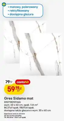 Castorama Gres Sidamo mat 60x60cm oferta