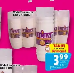 Prim Market Wkład do znicza Lilia 2,5 DNIA oferta