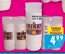 Prim Market Wkład do znicza Lilia 3 DNI oferta