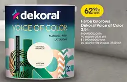 Castorama Farba kolorowa Dekoral Voice of Color oferta