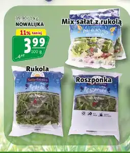 Prim Market Mix sałat z rukolą Nowalijka oferta