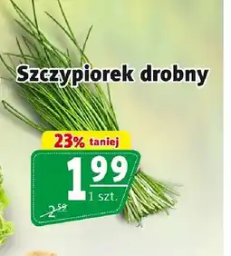 Prim Market Szczypiorek drobny oferta