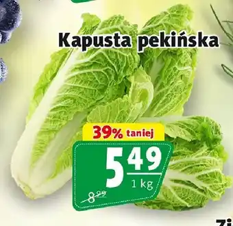 Prim Market Kapusta pekińska oferta