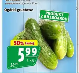 Prim Market Ogórki gruntowe oferta