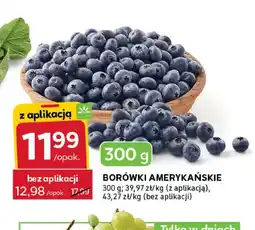 Stokrotka Borówki amerykańskie oferta