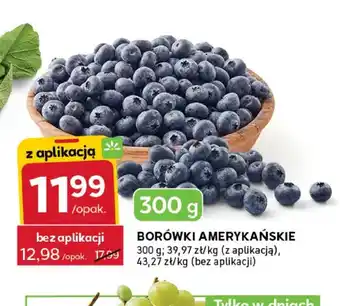 Stokrotka Borówki amerykańskie oferta