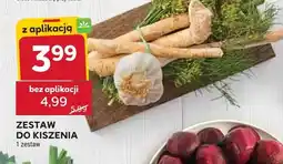 Stokrotka Zestaw do kiszenia oferta