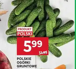 Stokrotka Ogórki gruntowe polskie oferta