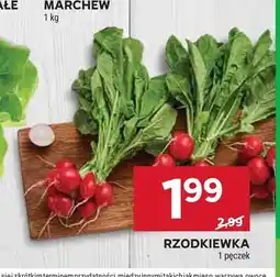 Stokrotka Rzodkiewka oferta