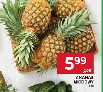 Stokrotka Ananas miodowy oferta