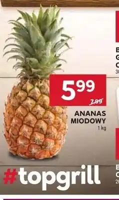 Stokrotka Ananas miodowy oferta