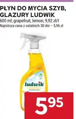 Stokrotka Płyn do mycia szyb i glazury Ludwik grapefruit oferta
