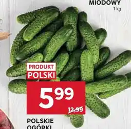Stokrotka Ogórki gruntowe polskie oferta
