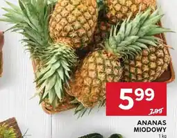 Stokrotka Ananas miodowy oferta