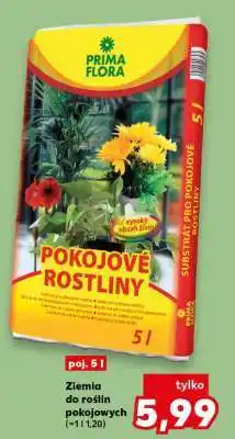 Kaufland Ziemia do roślin pokojowych oferta