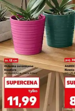 Kaufland Osłonka ceramiczna Escalera oferta