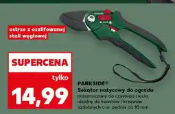 Kaufland PARKSIDE Sekator nożycowy do ogrodu oferta