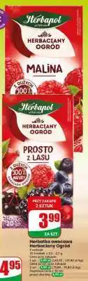 Dino Herbatka owocowa Herbaciany Ogród oferta