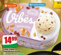 Dino Lody Vibes bakaliowe Koral oferta