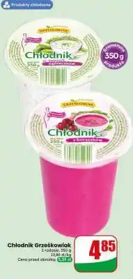 Dino Chłodnik Grześkowiak oferta