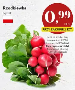 Market Point Rzodkiewka polska oferta