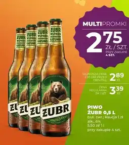 Duży Ben Piwo Żubr oferta