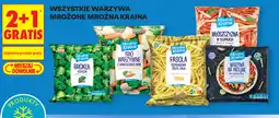 Biedronka Wszystkie warzywa mrożone Mroźna Kraina oferta
