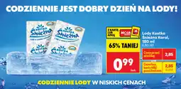 Biedronka Lody Kostka Śnieżna Koral oferta