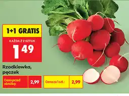 Biedronka Rzodkiewka, pęczek oferta