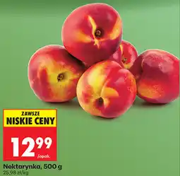 Biedronka Nektarynka oferta