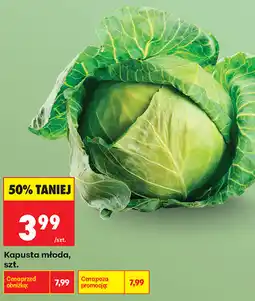 Biedronka Kapusta młoda, szt oferta