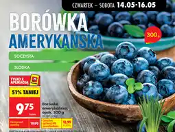 Biedronka Borówka amerykańska, opak oferta