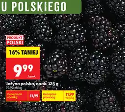 Biedronka Jeżyna polska oferta