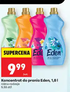 Biedronka Koncentrat do prania Eden oferta