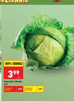 Biedronka Kapusta młoda oferta