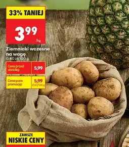 Biedronka Ziemniaki wczesne oferta