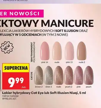 Biedronka Lakier hybrydowy Cat Eye Niuqi oferta
