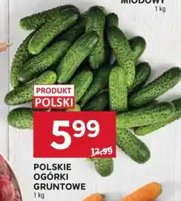 Stokrotka Market Polskie ogórki gruntowe oferta