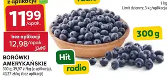 Stokrotka Market Borówki amerykańskie oferta