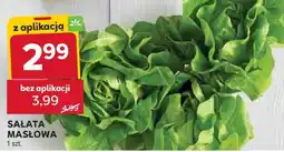 Stokrotka Market Sałata masłowa oferta