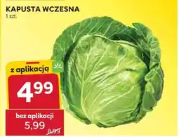 Stokrotka Market Kapusta wczesna oferta