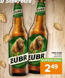 Stokrotka Market Piwo ŻUBR oferta